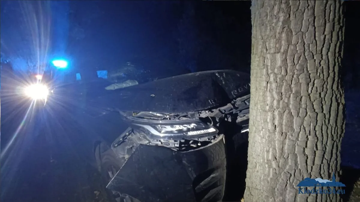 Land Rover uderzył w drzewo w Wojborzu