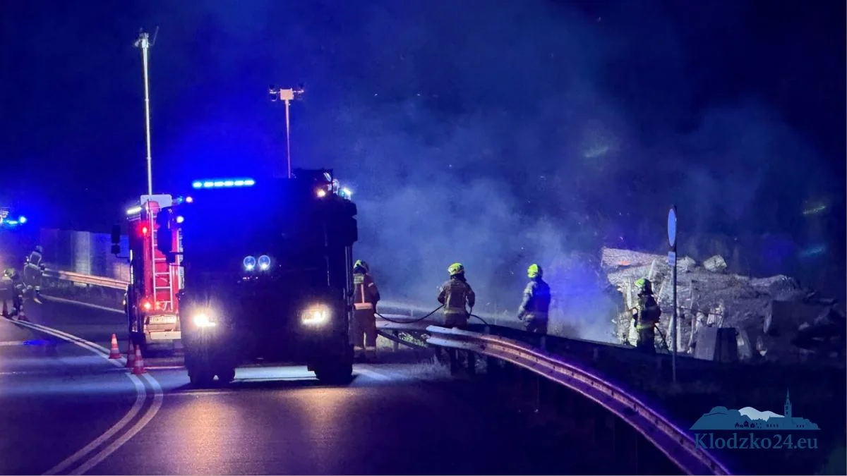 Pożar przy DK46 pod Kłodzkiem. Płonęła duża sterta drewna - Zdjęcie główne