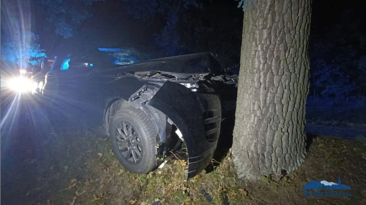 Land Rover rozbił się na drzewie w Wojborzu. Nieoficjalnie: wcześniej mogło dojść do wymuszenia - Zdjęcie główne
